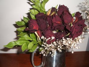 ¡Ö¥É¥é¥¤¥Õ¥é¥ï¡¼¡×¤Î²èÁü