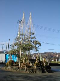 「近くの小学校の植木も冬の準備」の画像