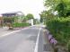 芳泉町のうこぎ街道:2011/06/01 13:19
