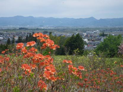 長岡山 寒河江つつじ祭り 寒河江市 ヤマガタンannex 山形のお祭り イベント
