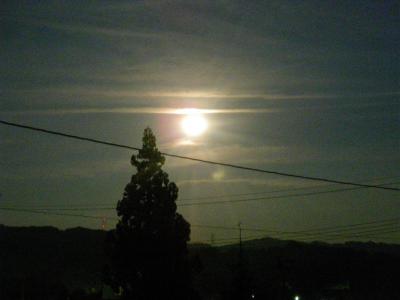 「9月12日(月) 晴れあつい」の画像