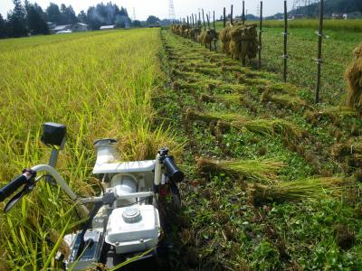 「9月15日(木) これまた晴れだ」の画像