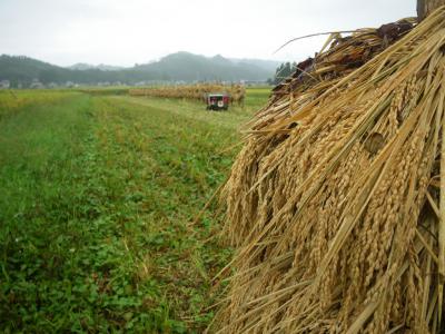 「9月19日(祝月) 雨」の画像