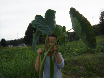 ¡Ö£¹·î£²£·Æü¡ÊÌÚ¡Ë¡¡¤¯¤â¤ê¡×¤Î²èÁü