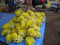 ¡Ö£Å£ÍÅ¥ÃÄ»ÒÅêÆþ¡¡×¤Î²èÁü