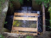 ¡Ö£Å£ÍÅ¥ÃÄ»ÒÅêÆþ¢¡×¤Î²èÁü