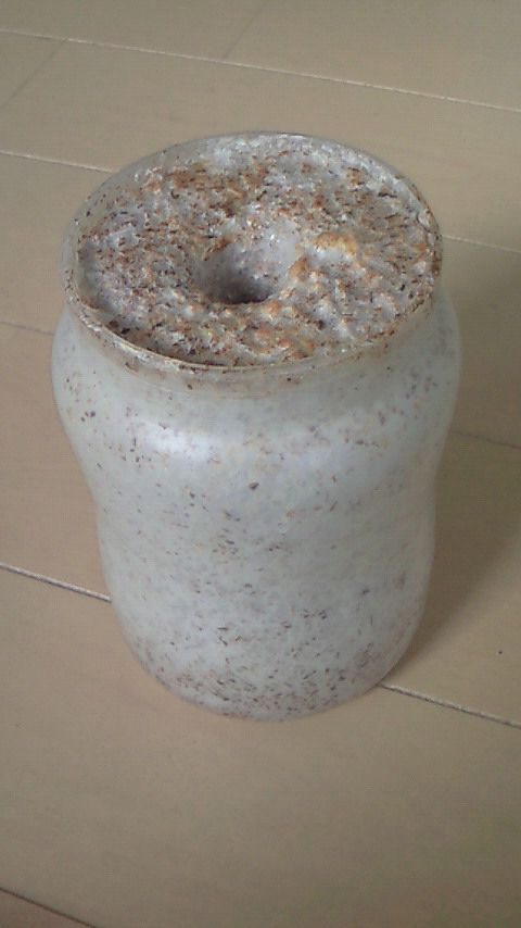 なめこ栽培 vol1 「栽培る」