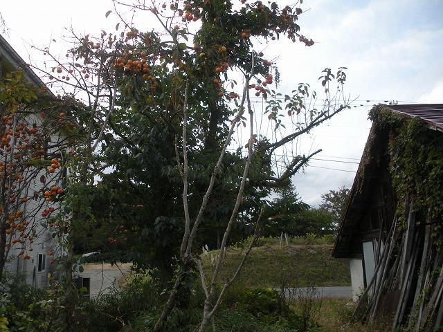 秋のミステリー