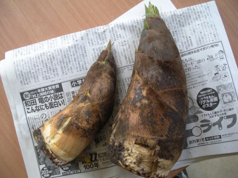 おいしそうな筍