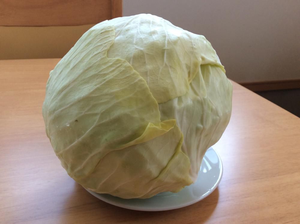 キャベツのパスタ