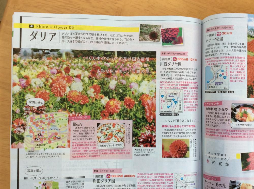 今月の関東東北じゃらんに掲載中