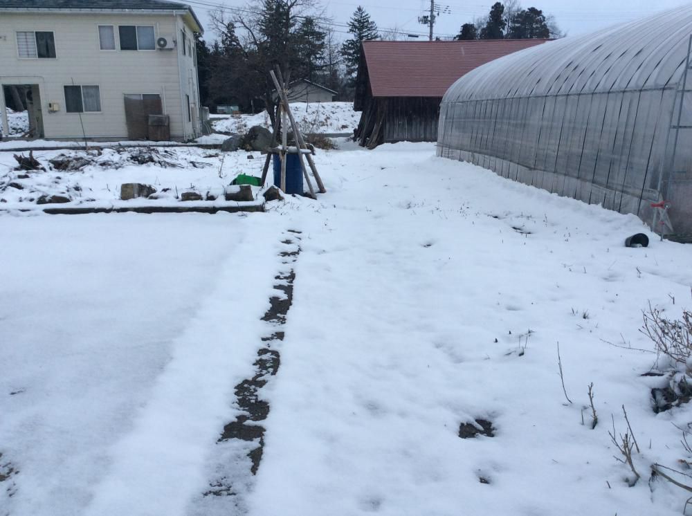 春なのに・・・