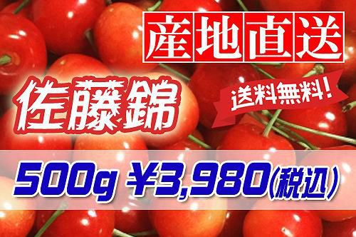 さくらんぼ「佐藤錦」予約受付中です！