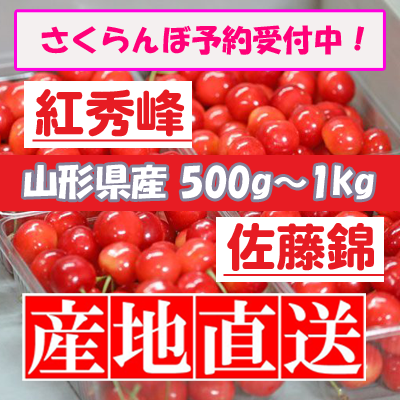 今年度のさくらんぼの予約受付終了しました