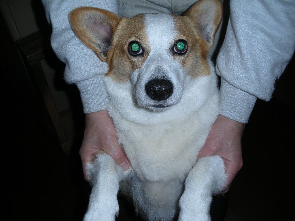 シルバーアクセサリーUribow