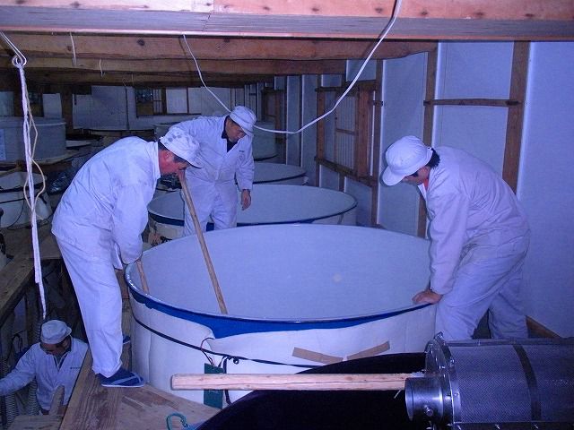 樽平酒造の酒蔵見学 その4