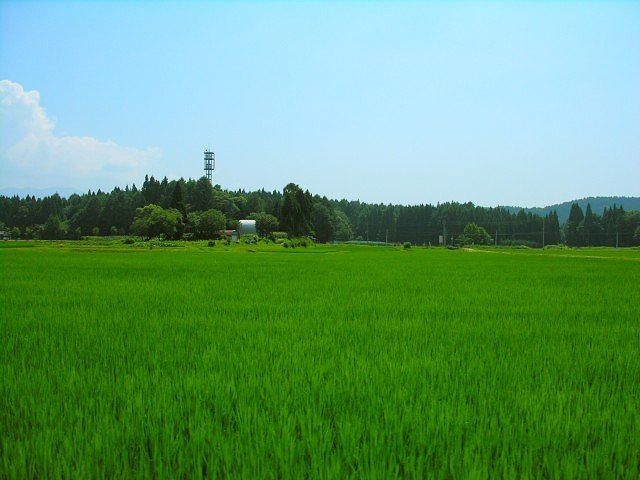 震災から2年・・・