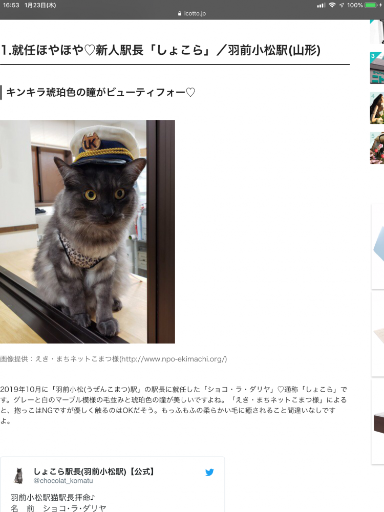 icottoさんに掲載されました