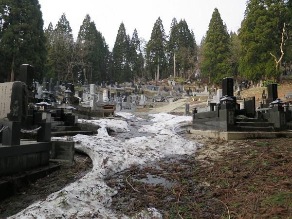 山形県尾花沢市で墓地確認。