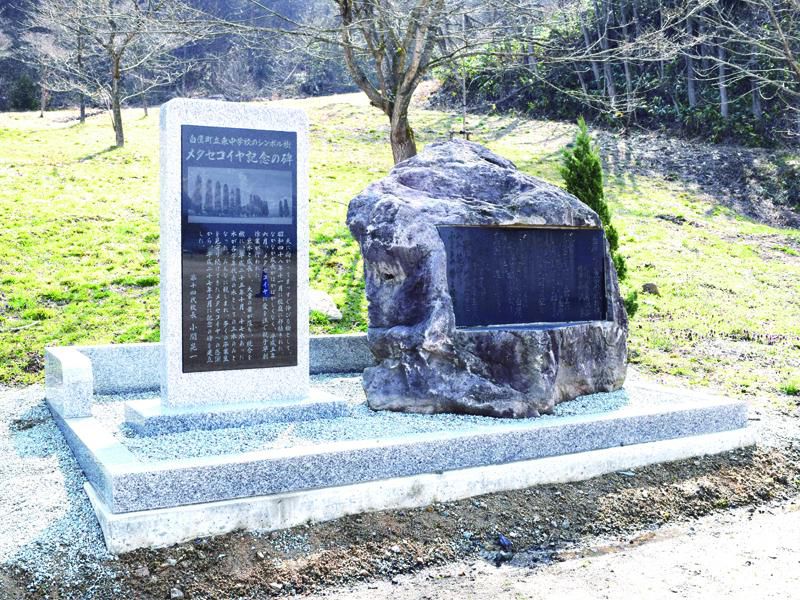 メタセコイヤ記念の碑