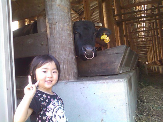 牛と娘