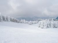 蔵王スキー場