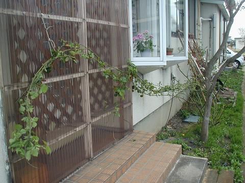 ジュアンのＧＷお得なランチ＆ディナー