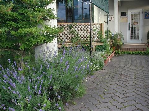 ジュアンの日除け対策！