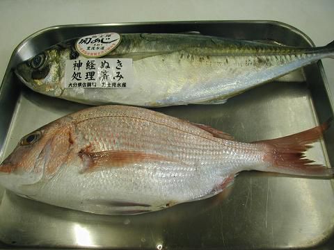 ジュアンの美味いもの♪今日はこんないい魚が入ってますよ！
