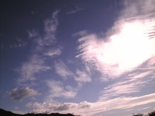 けたたましいサイレンの音で・・・！