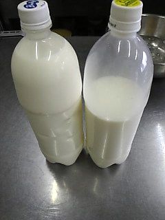 ジュアンの美味いもの♪絞りたての牛乳で・・・！