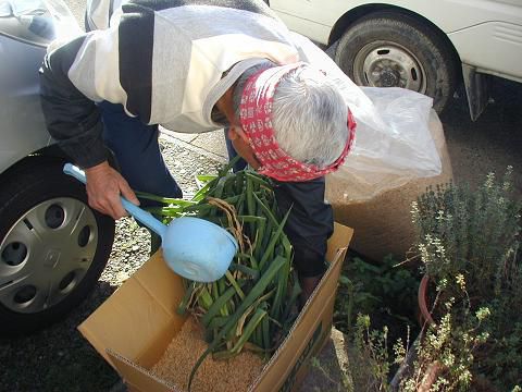 畑からの贈り物