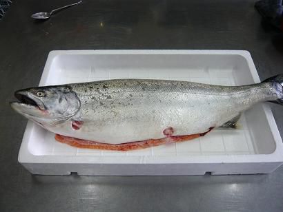 ジュアン本日のおすすめ料理