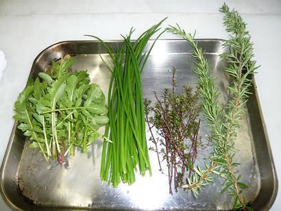 ジュアンの朝摘みのハーブ