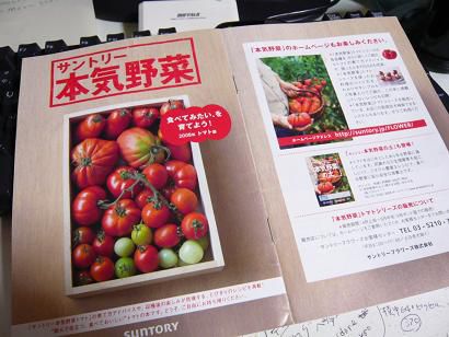 ジュアンの畑から