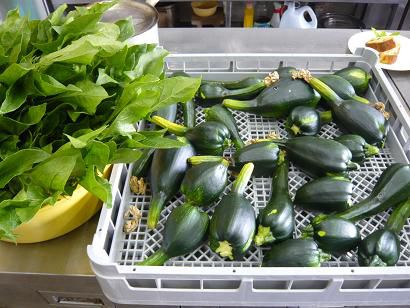 畑から取れたて野菜　byジュアン