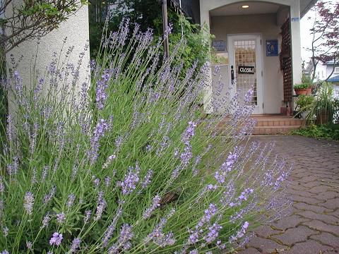 ジュアンのラベンダーのアイスクリームを自家製で！