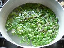 ジュアンのミントシロップ作り