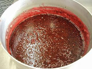 畑のめぐみ　byジュアン