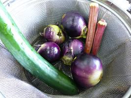 ジュアンの畑からの恵