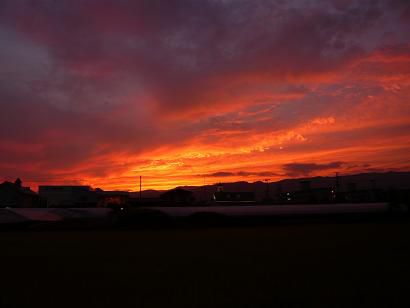 ジュアン今日のワンショット♪燃える夕日とランチ