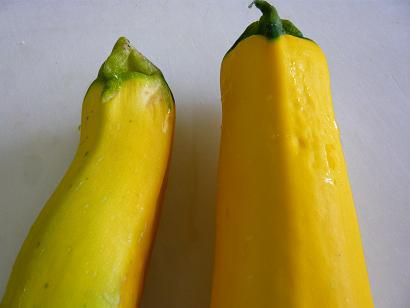 ジュアン　時期ハズレのズッキーニのラタトウイュ