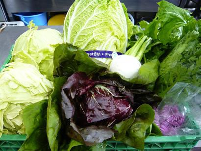 ジュアン「今日の朝取り野菜」