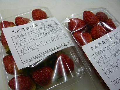 ジュアン「青木農園のとちおとめ」