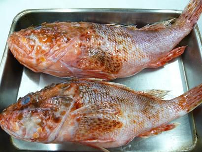 ジュアン「今日のうまい魚は、カサゴ」