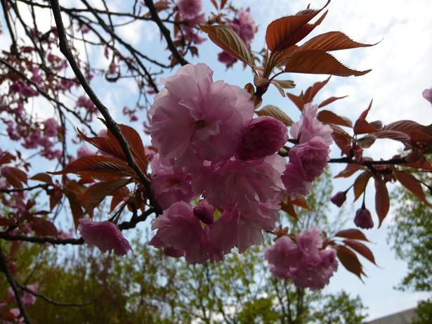 ジュアン「うれしいメールが届きました。」