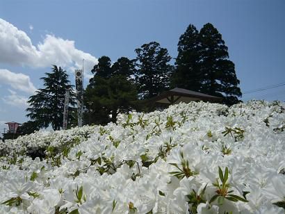 ジュアン「今日は料理教室です」