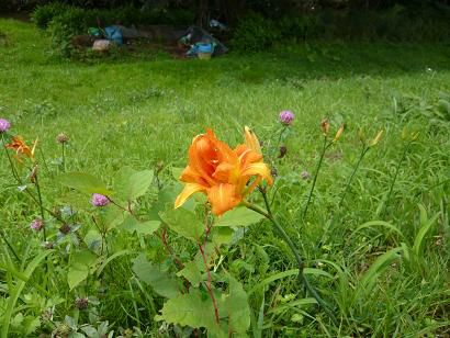 ジュアン「散歩道で」