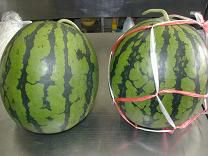 ジュアン「今年スイカどのくらい食べました？」