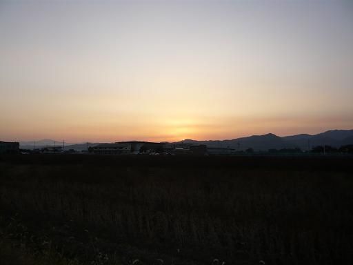 ジュアン「海老と蟹と帆立貝」